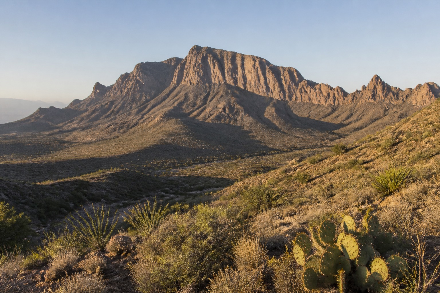 Big Bend Chisos Mountains rising over Chihuahuan Desert at first light