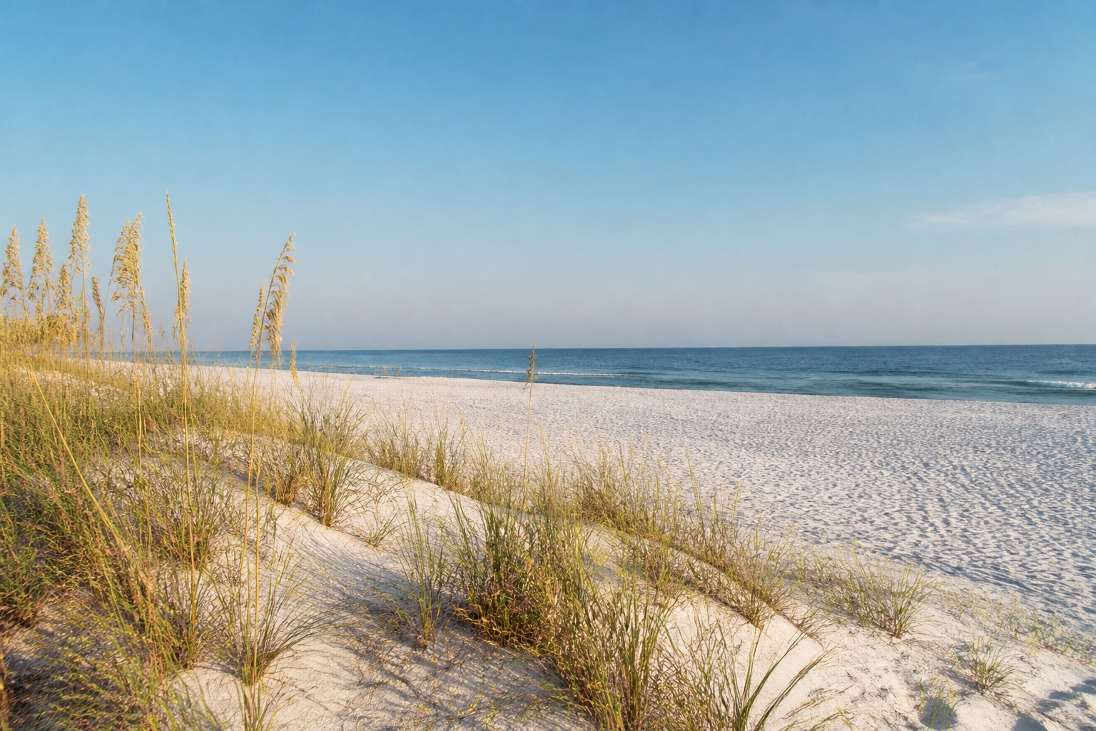 Gulf Shores white-sand beach and dune grass beside calm blue Gulf water
