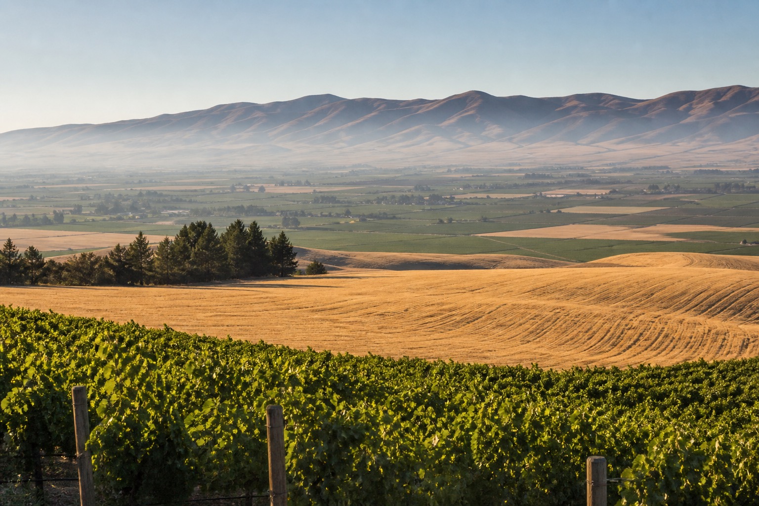Walla Walla vineyards and golden wheat fields beneath broad Blue Mountain skies